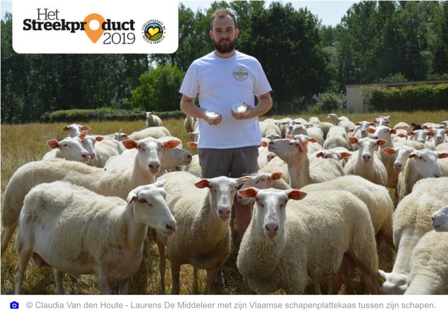 Vlaamse schapenplattekaas verkozen tot beste streekproduct van Denderstreek